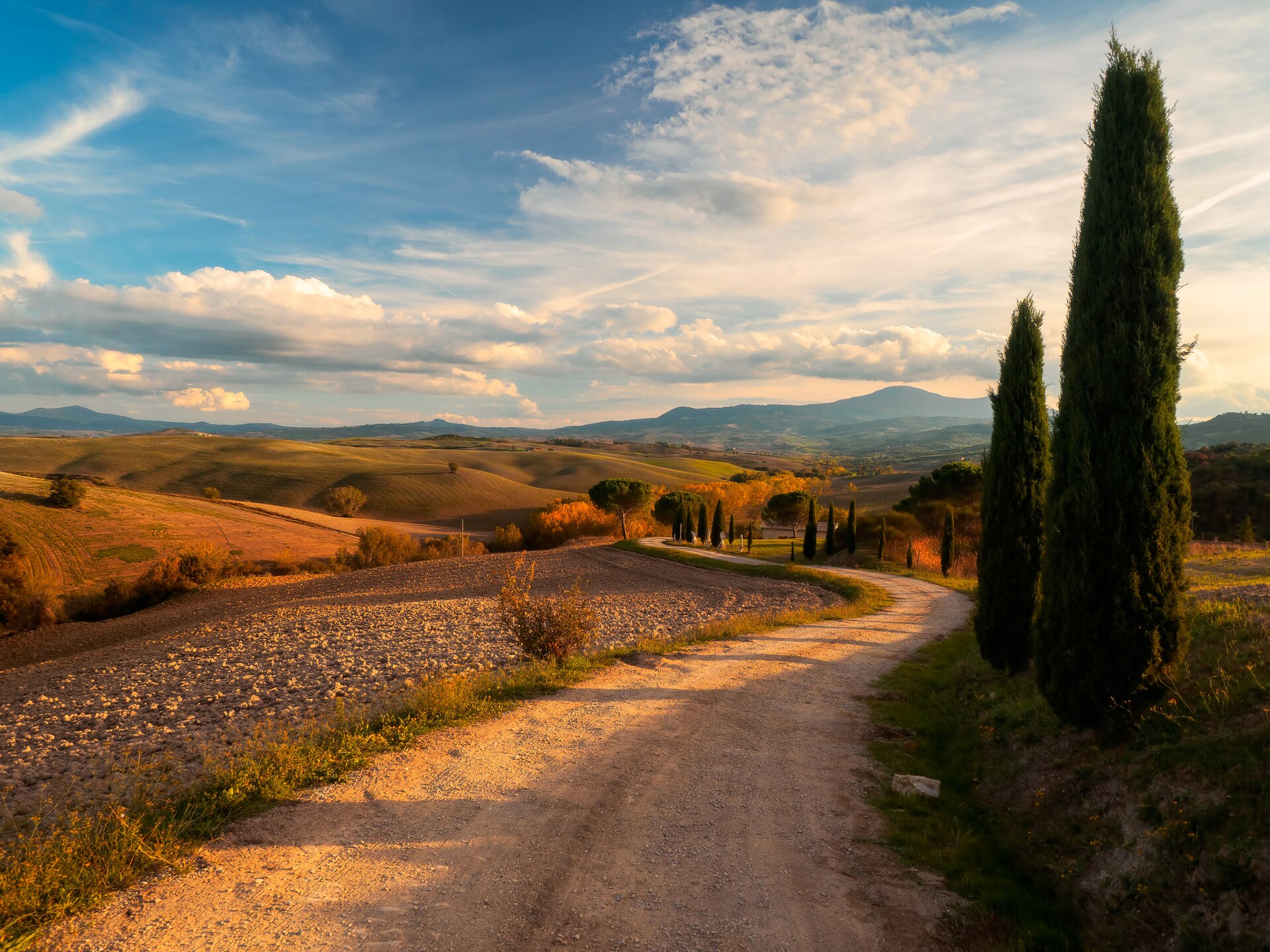 Estrada ladeada de ciprestes em Val d'Orcia, Toscana