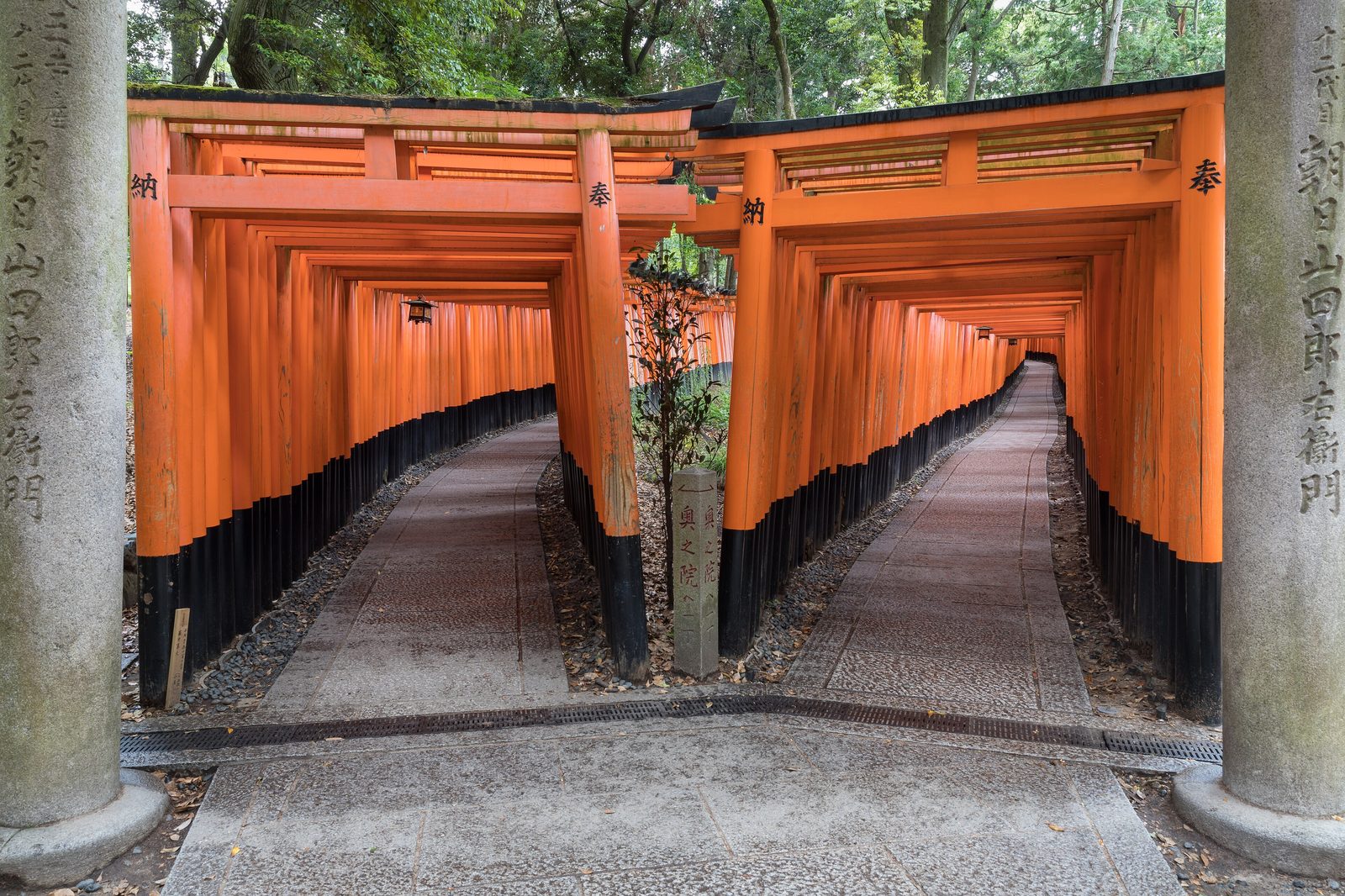 Caminho de torii vermelhos em Fushimi Inari