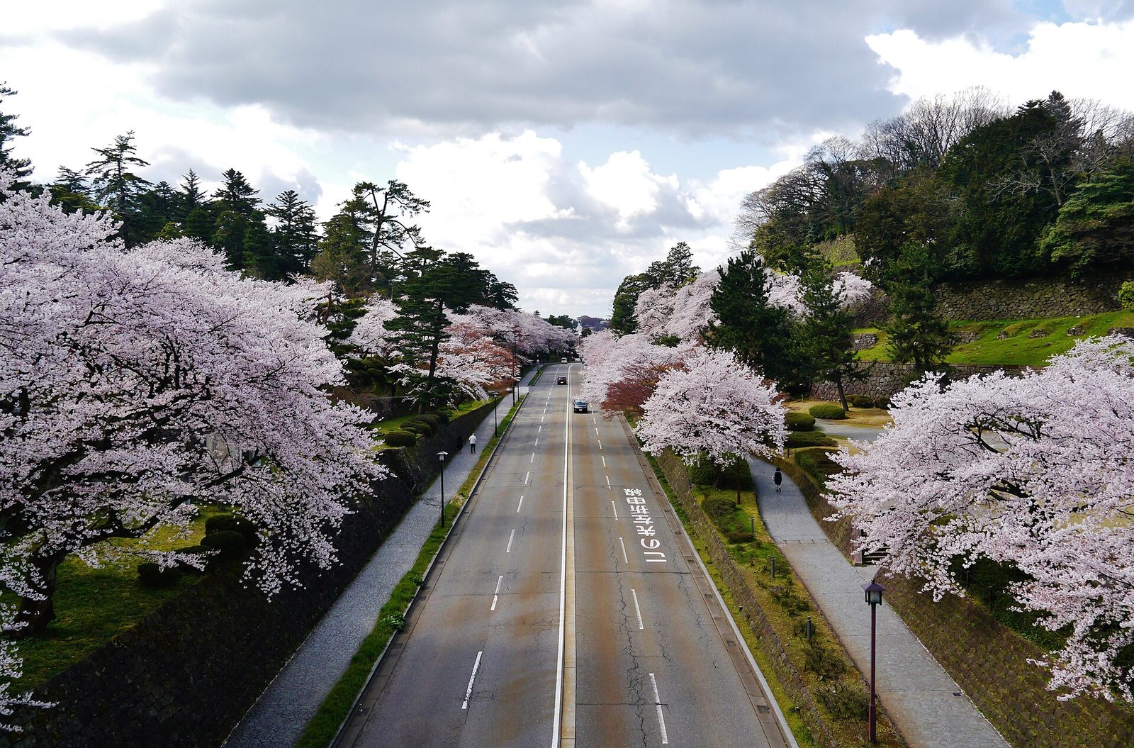Japão na Primavera