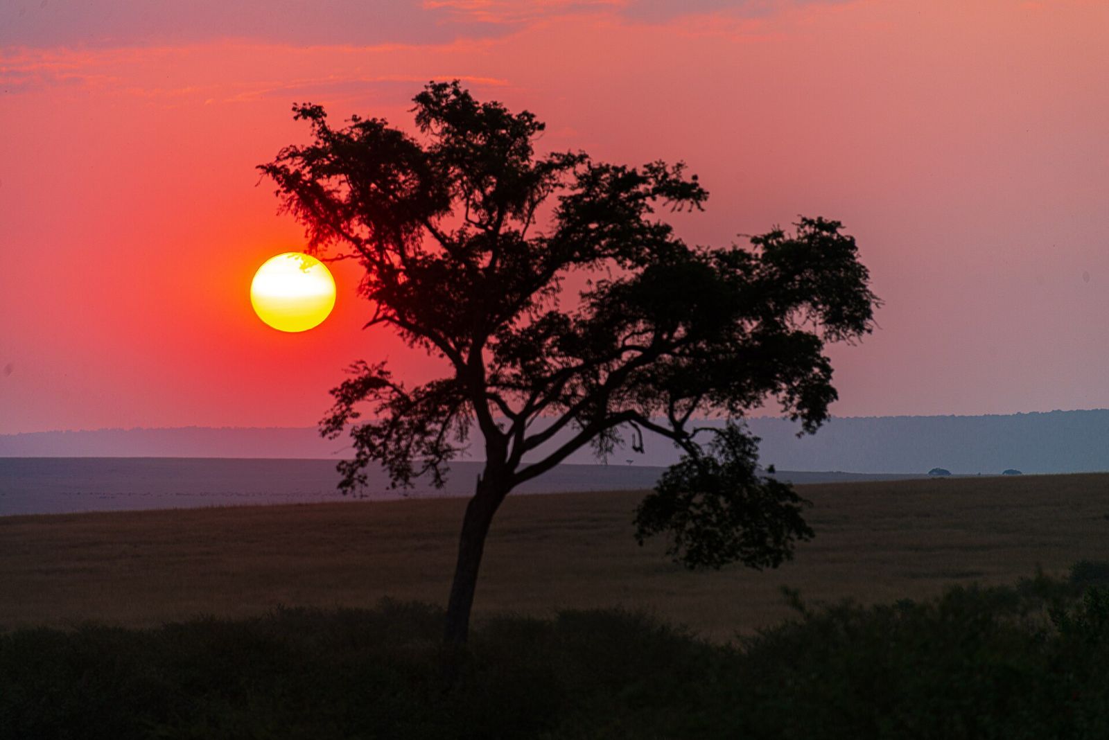 Contemplar um pôr do sol africano