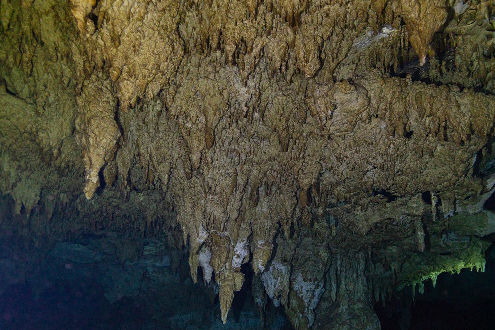 Cenote natural de água cristalina na península do Iucatão