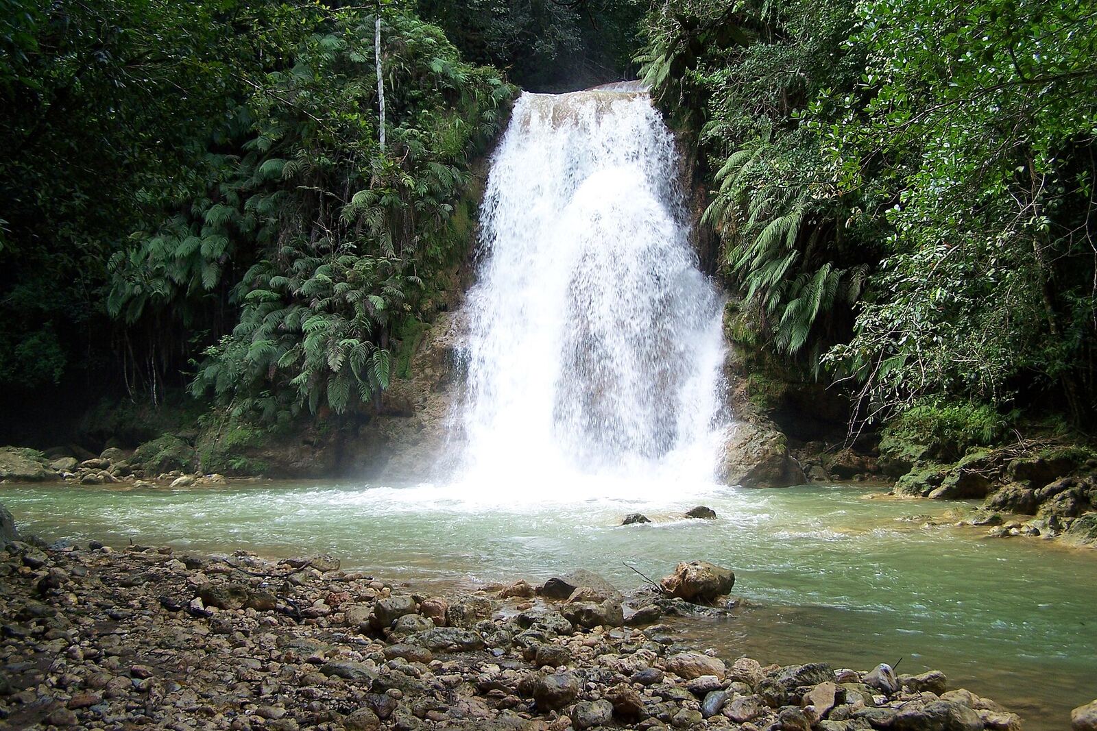 Samaná: natureza em estado puro