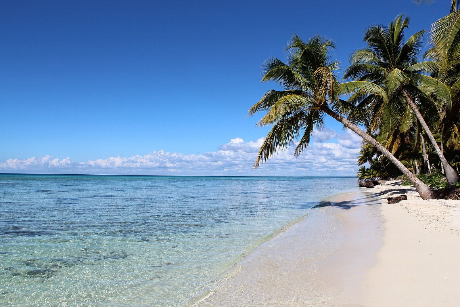 Ilha Saona, com palmeiras e mar turquesa