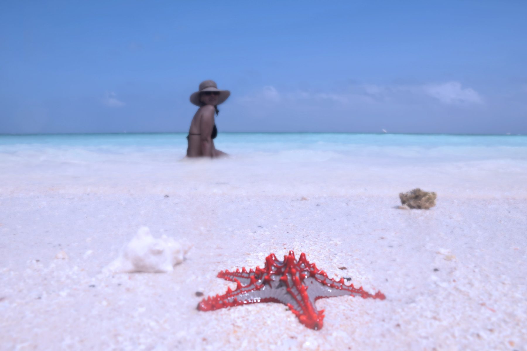 Praia de areia branca e mar turquesa em Kendwa, Zanzibar